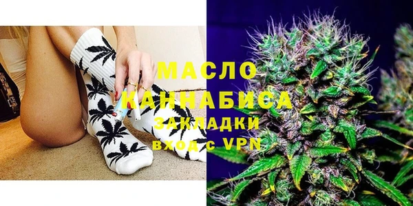 индика Володарск