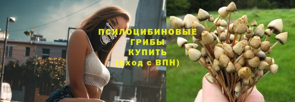 индика Володарск