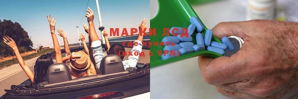 индика Володарск