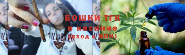 соль ск Волосово