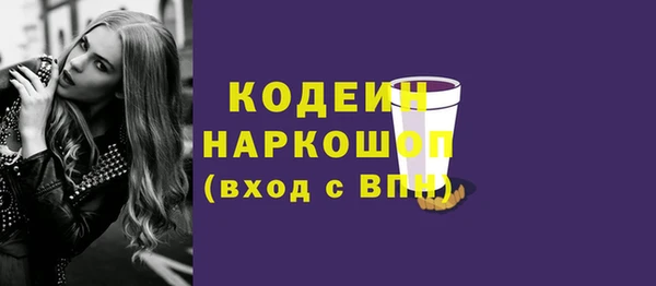 индика Володарск