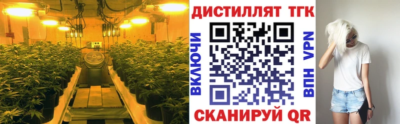 площадка телеграм  купить наркотик  Пласт  Дистиллят ТГК гашишное масло 