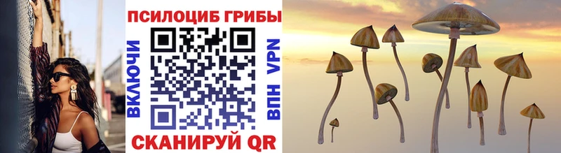 Псилоцибиновые грибы Cubensis  где найти наркотики  Пласт 